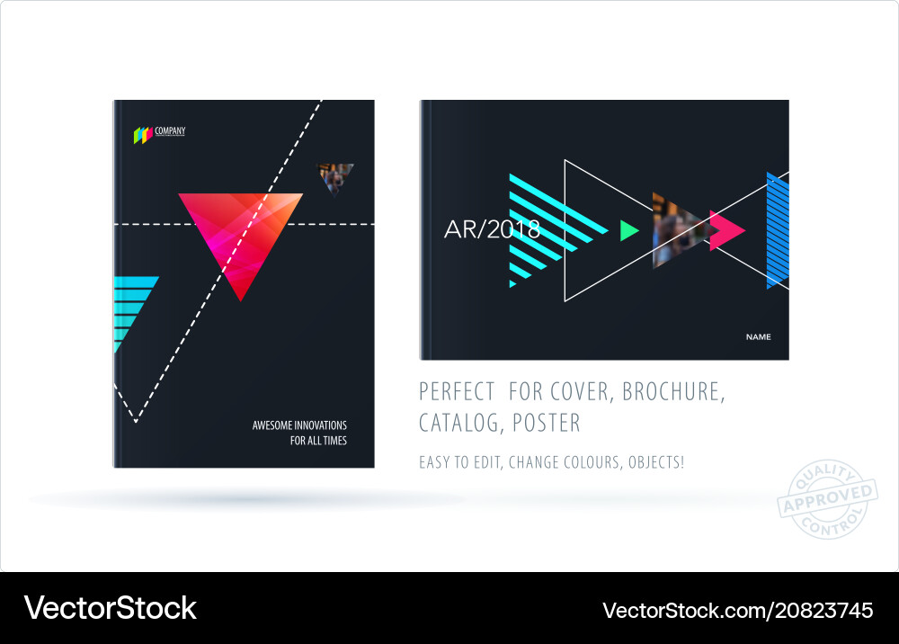 Colorful Triangle Brochure Template Vector Image