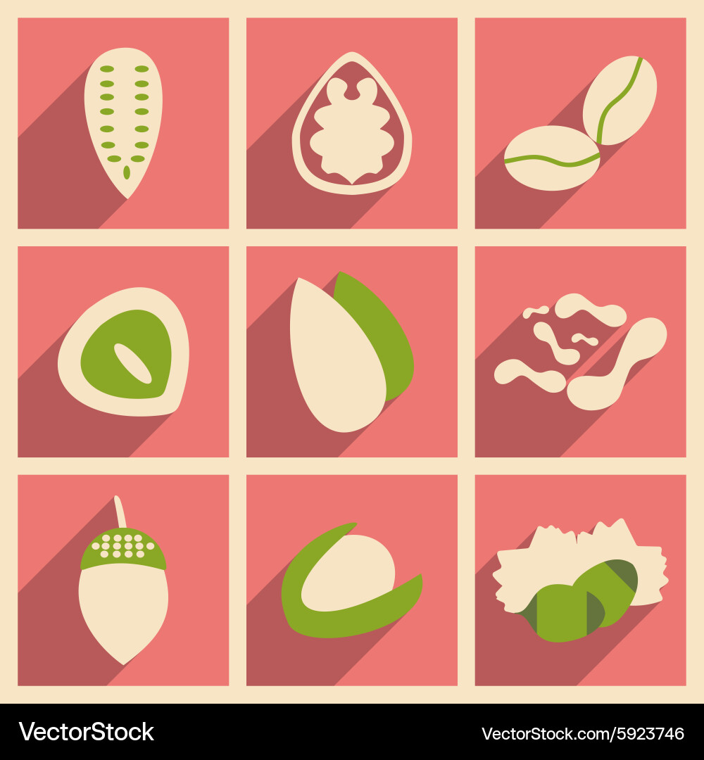 Flat with shadow concept and mobile application vector image