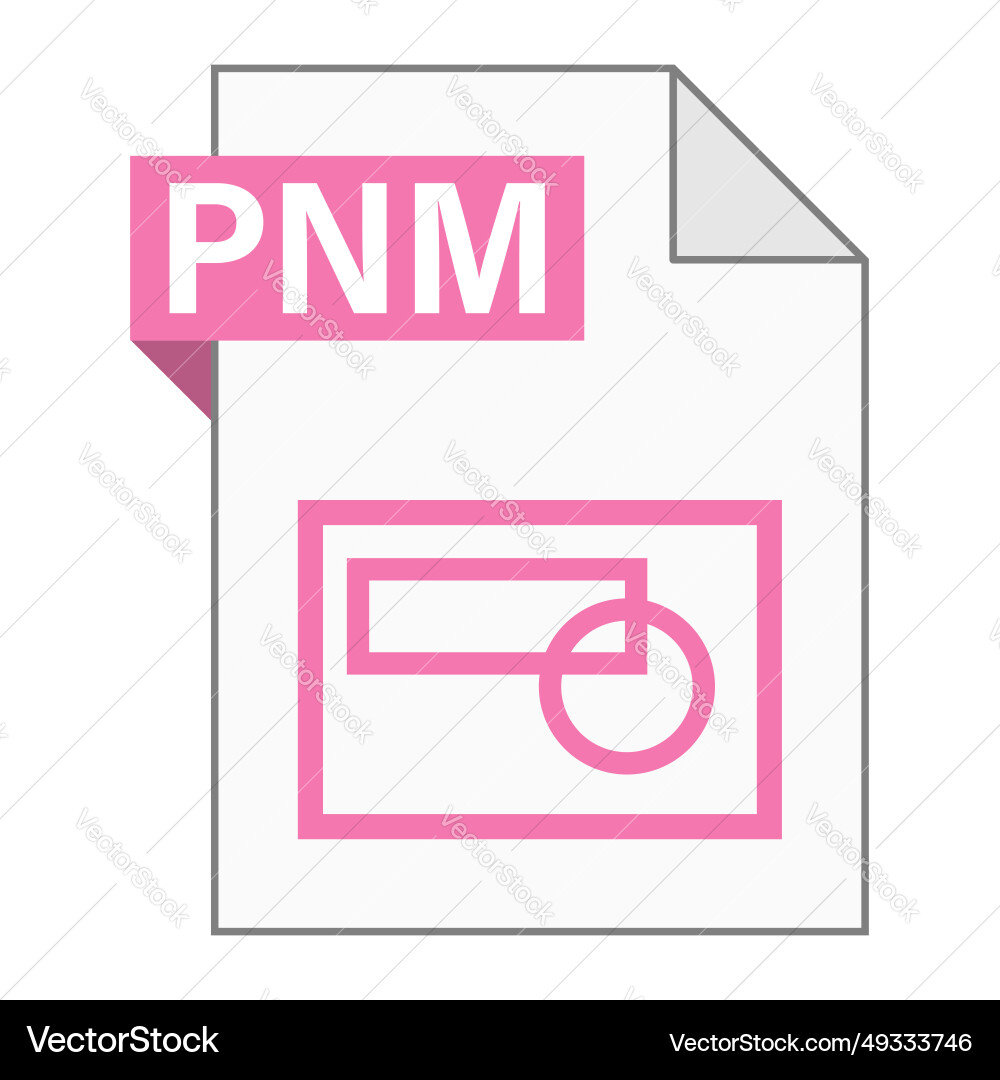 Modern flat design of pnm file icon for web Modern flat design of pnm file icon for web vector image