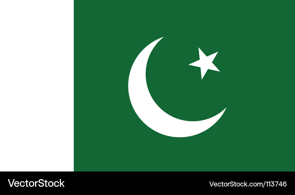 Pakistan National Flag vector image