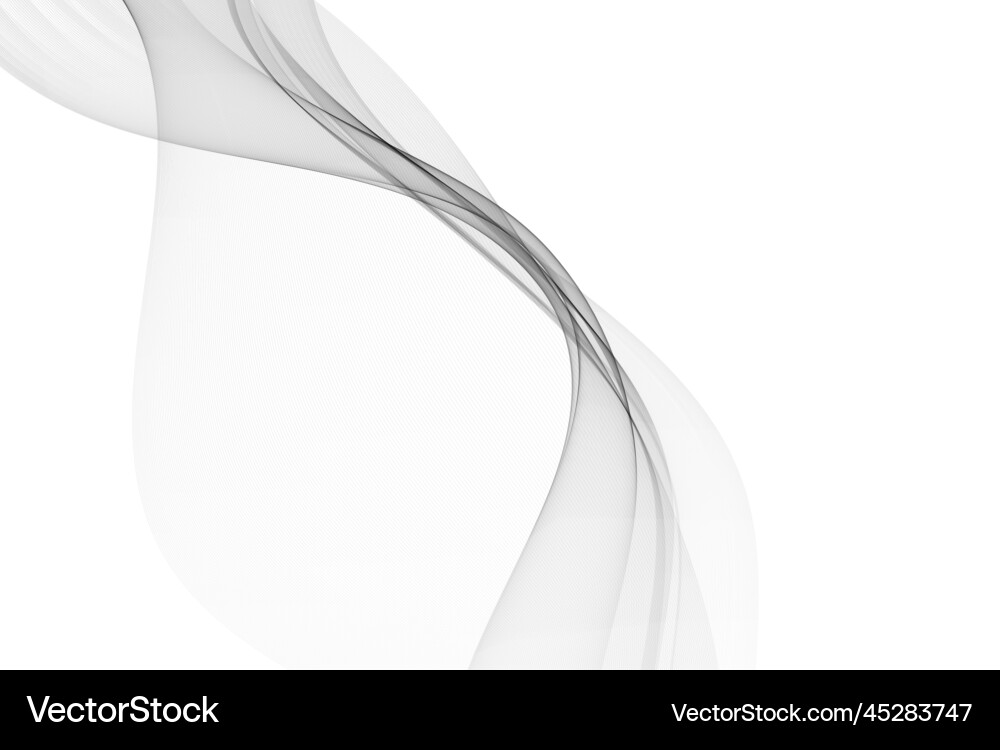 Abstract Gray Wave Lines vector image