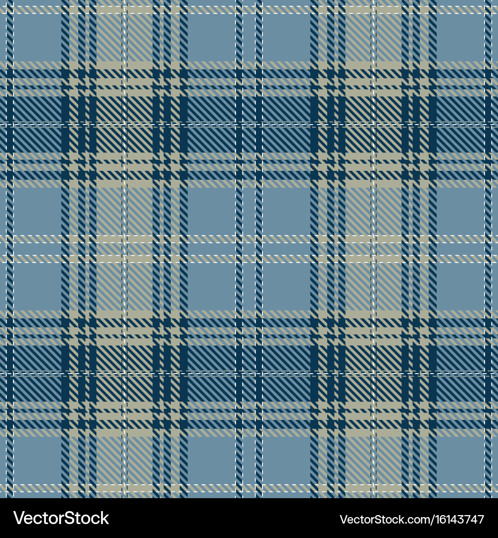 Tartan Pattern Background vector image