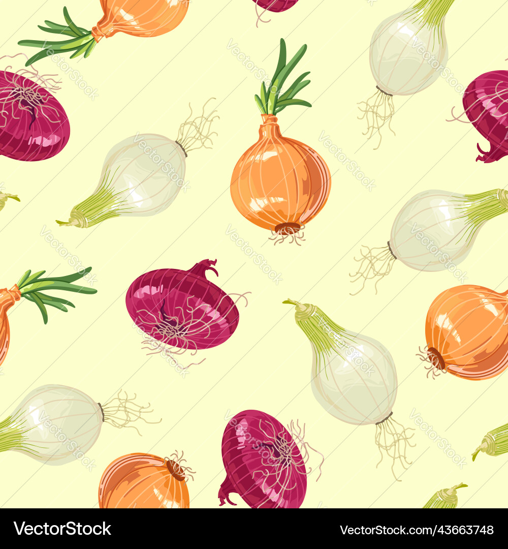 Multicolored pattern of onions different Multicolored pattern of onions different vector image
