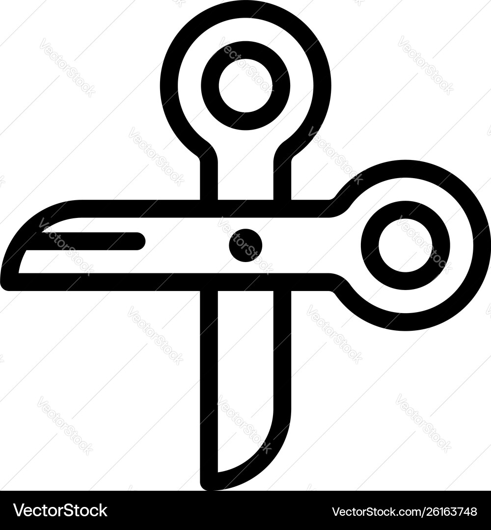 Silk scissors icon outline style Silk scissors icon outline style Vector Image