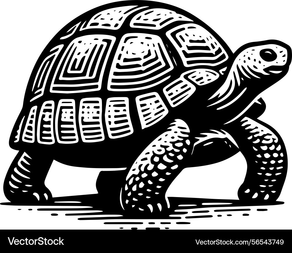 Simple gopher tortoise walking side view icon Simple gopher tortoise walking side view icon vector image