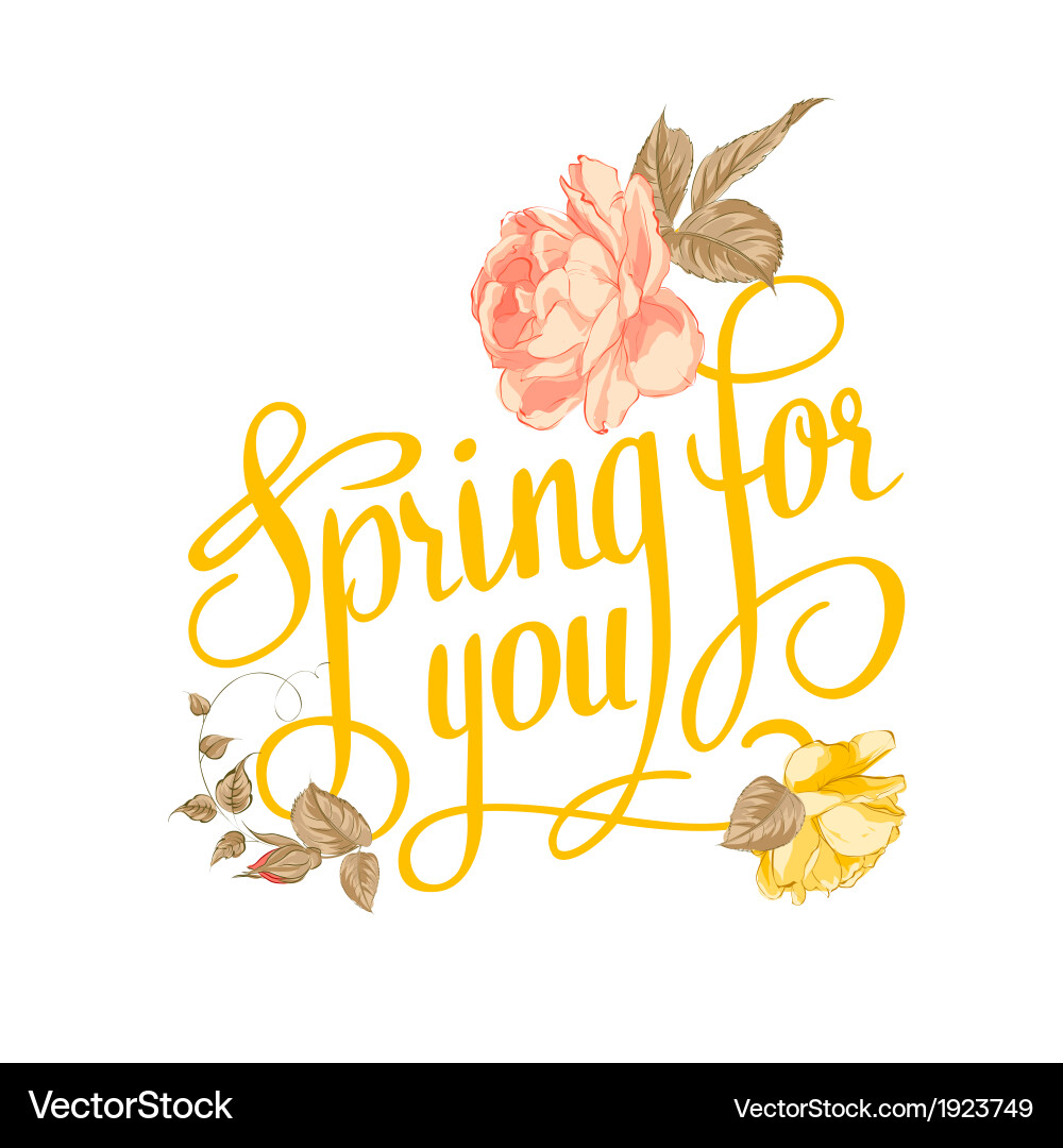 Spring for you calligraphic text vector image