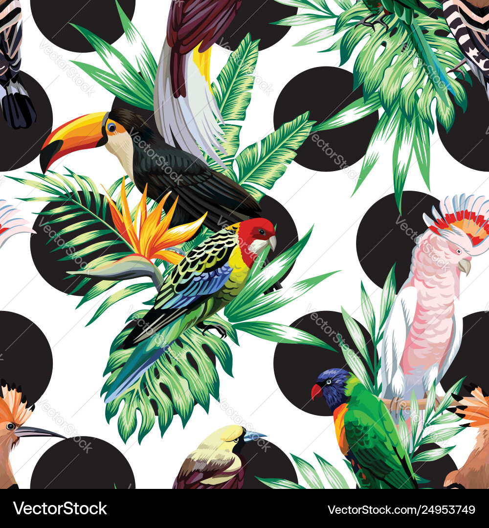 Tropical Birds & Palm Leaves Vector Image