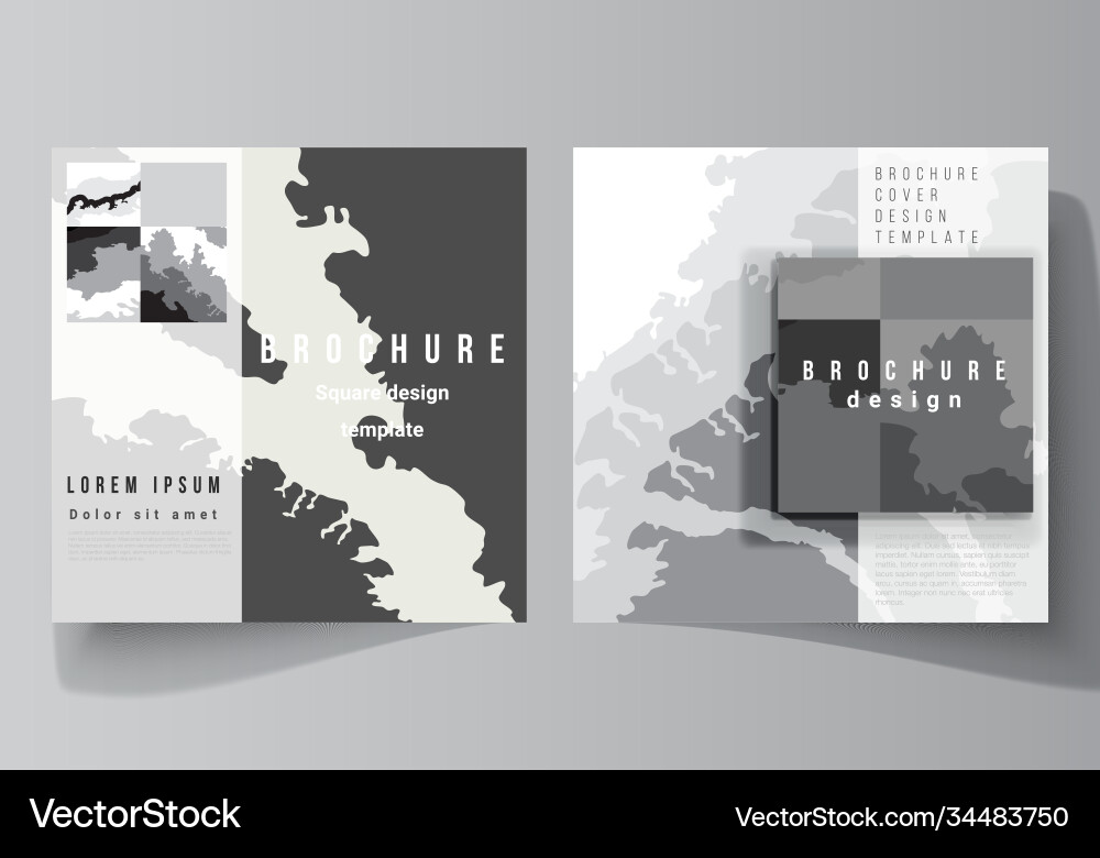 Layout two square format covers design Layout two square format covers design vector image