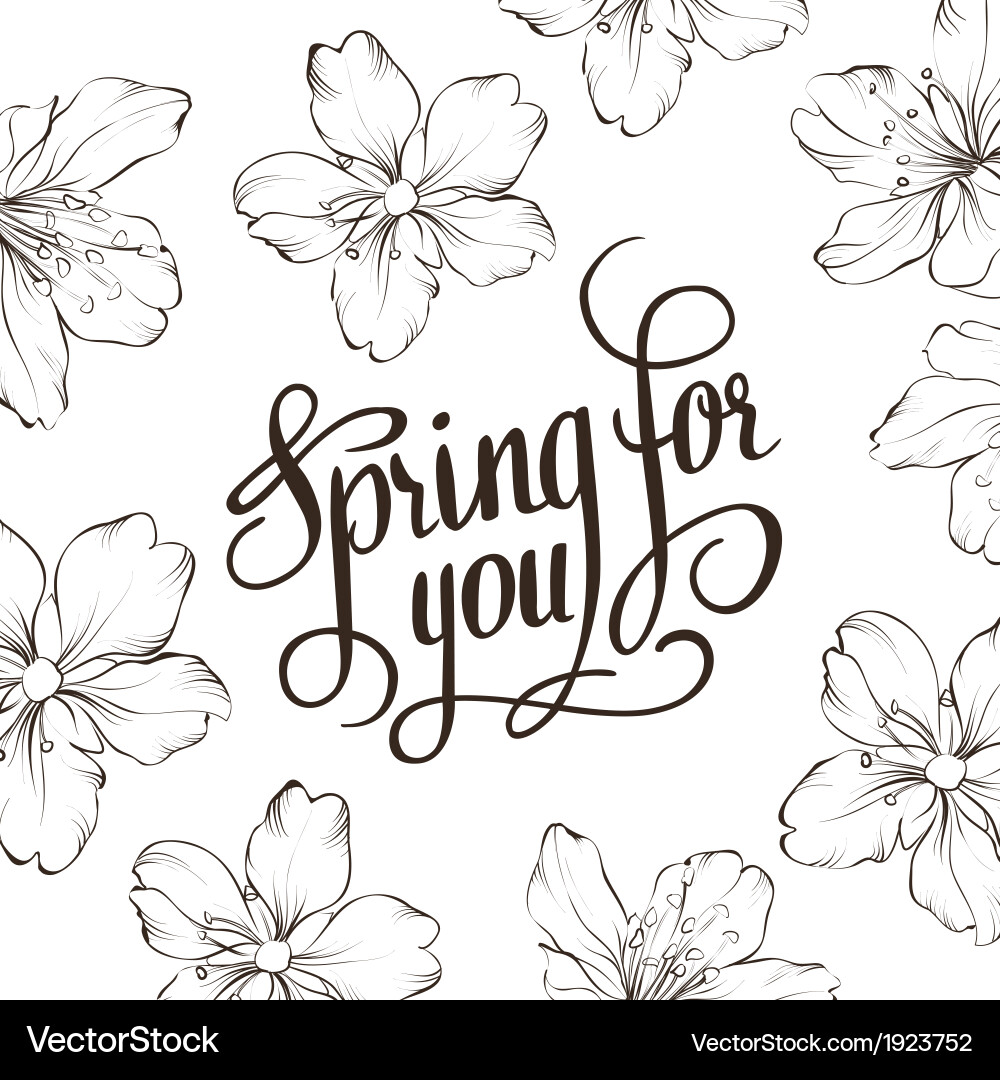 Spring for you calligraphic text vector image