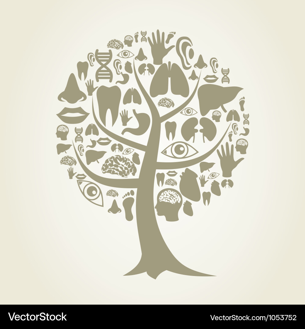 Tree of a part body2 Vector Image