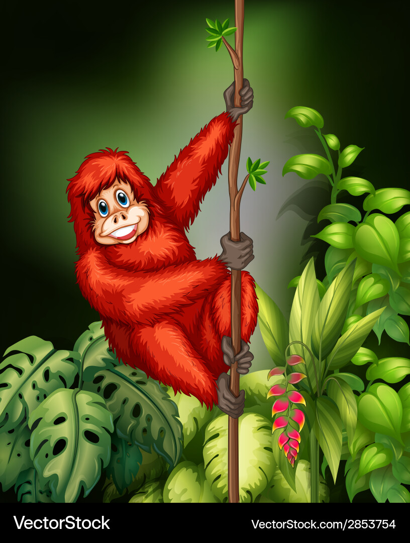 Monkey in jungle Royalty Free Vector Image - VectorStock