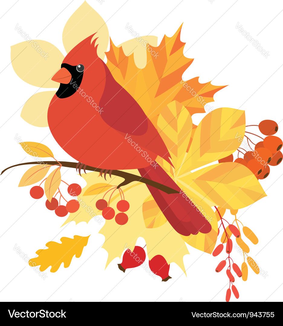 Herbst Kardinal mit Beeren Vektorbild