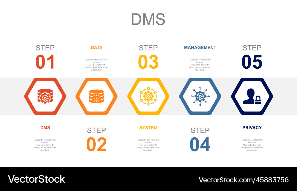 Dms data system management privacy icons vector image