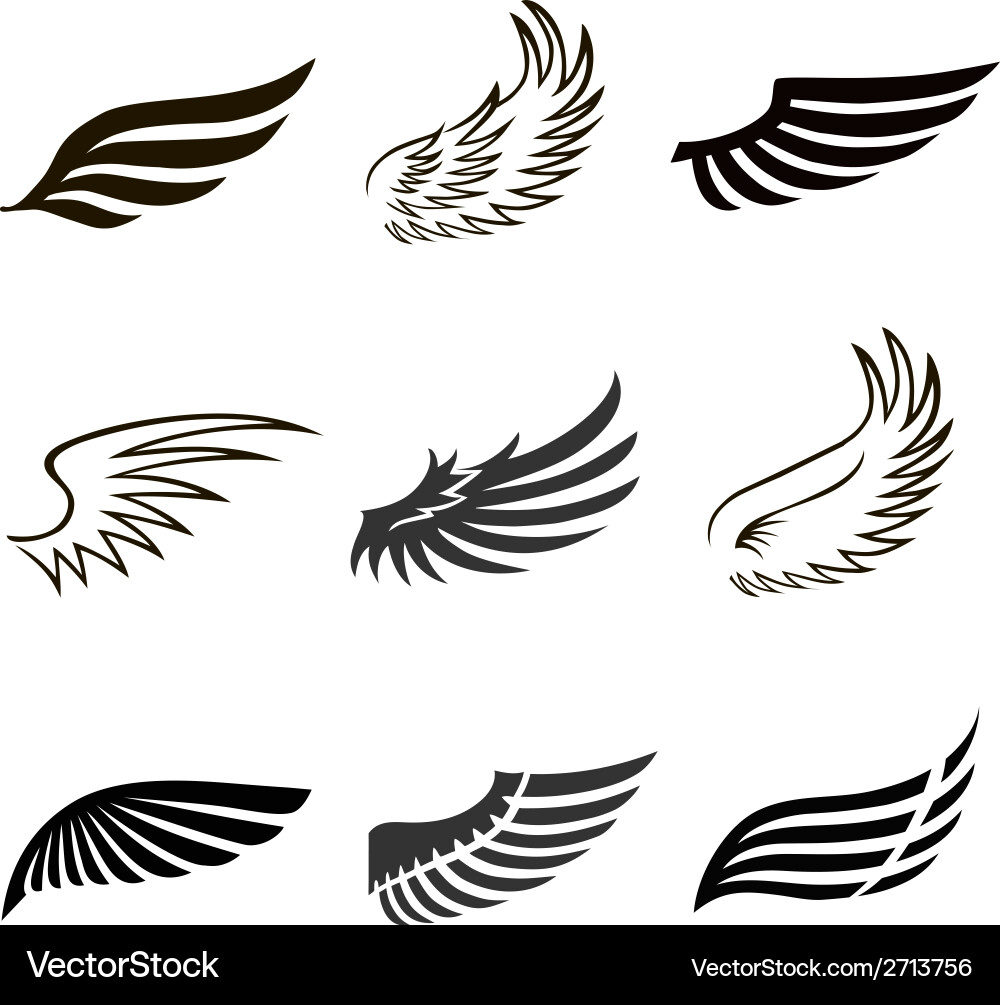 Feather Wings Icons - Angel & Bird Vector Image