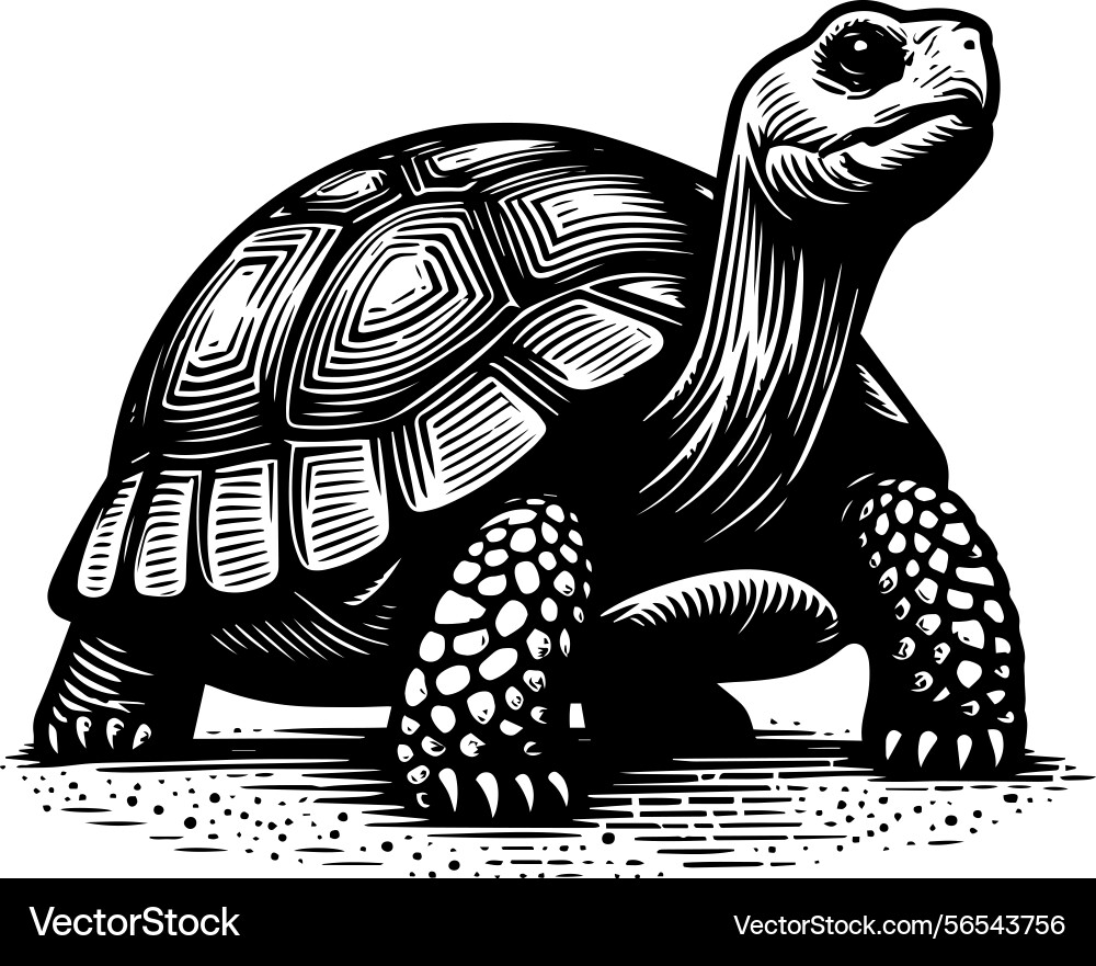 Simple gopher tortoise walking side view icon Simple gopher tortoise walking side view icon vector image