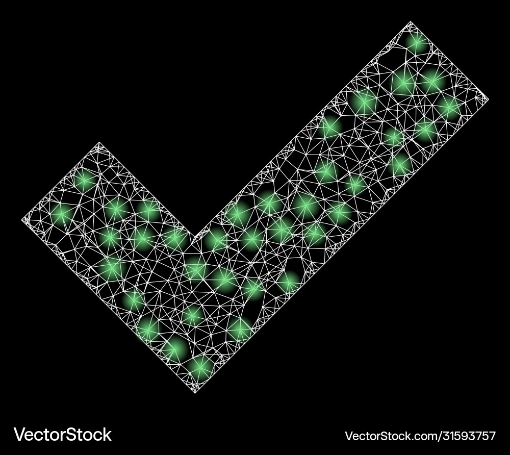 Bright web net apply tick with light spots Vector Image