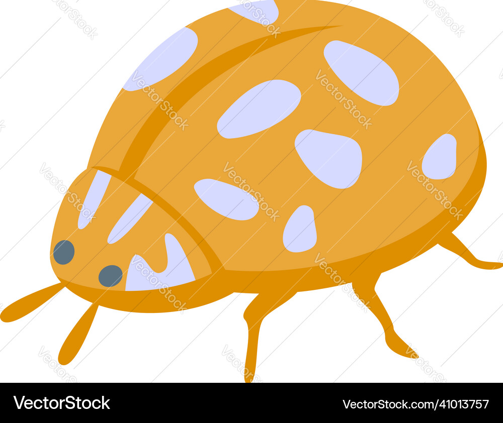 Orange ladybug Ikone isometrische niedlich Orange ladybug Ikone isometrische niedlich vektorbild