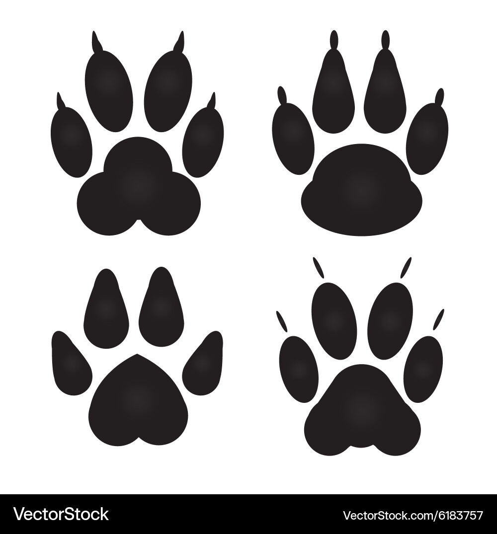 Paw Prints - Tiere Vektorbild