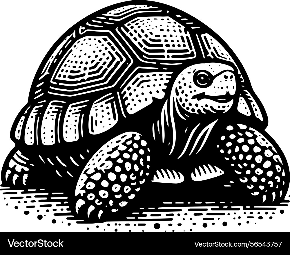 Simple gopher tortoise walking side view icon Simple gopher tortoise walking side view icon vector image