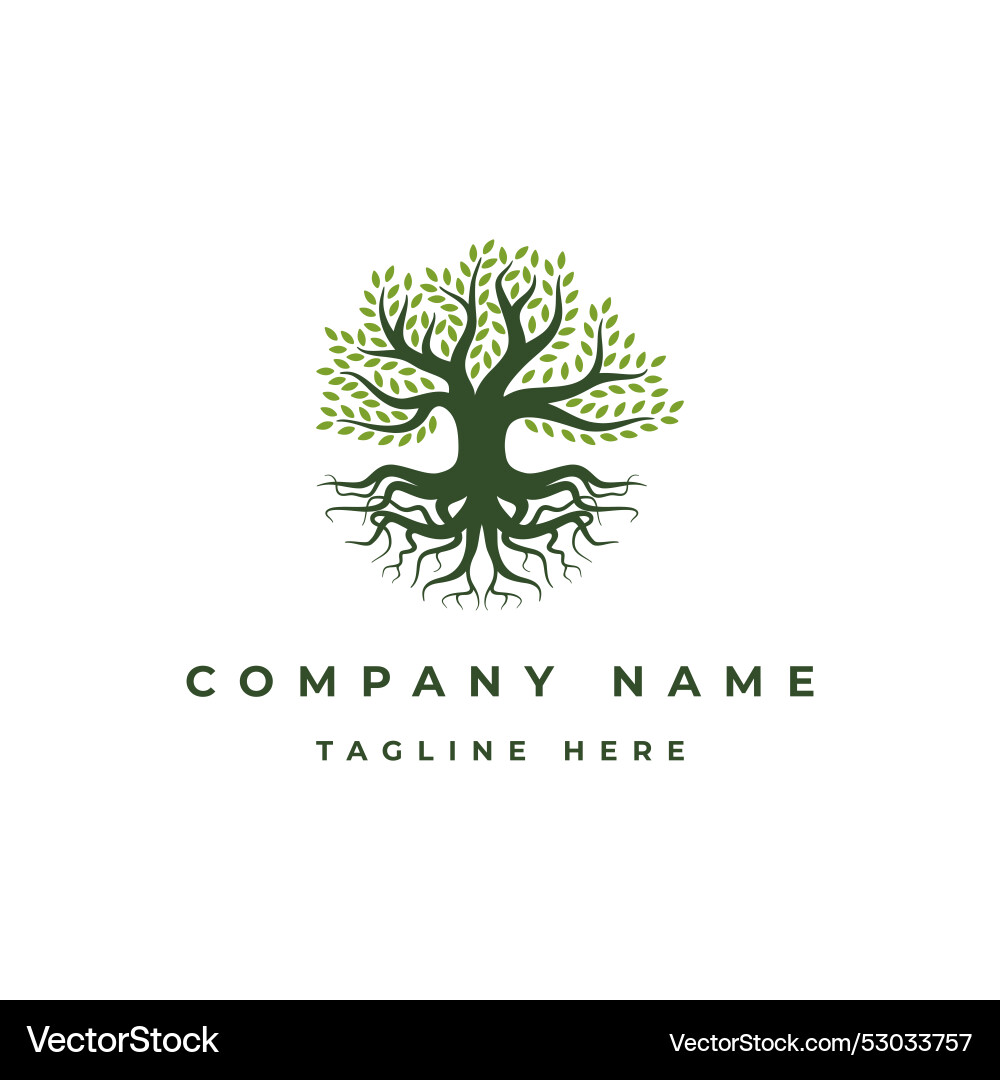 Tree and roots logo design isolated abstract Tree and roots logo design isolated abstract vector image