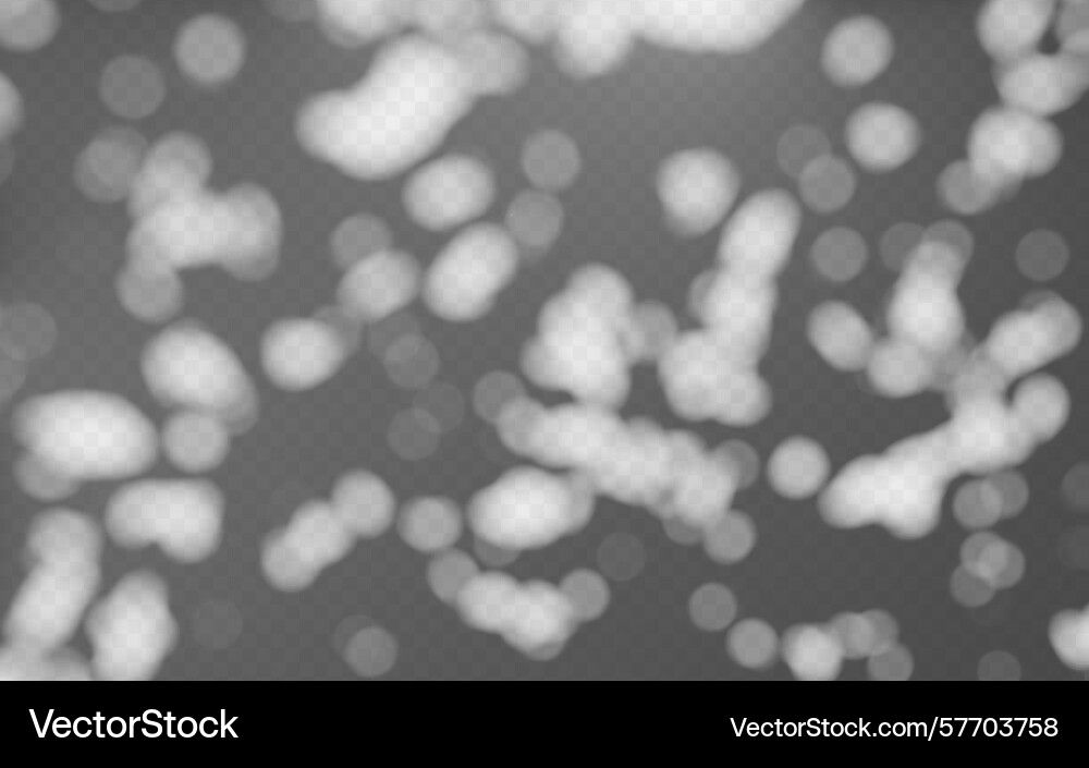 Abstract shadow overlay from tree on a transparent Vector Image