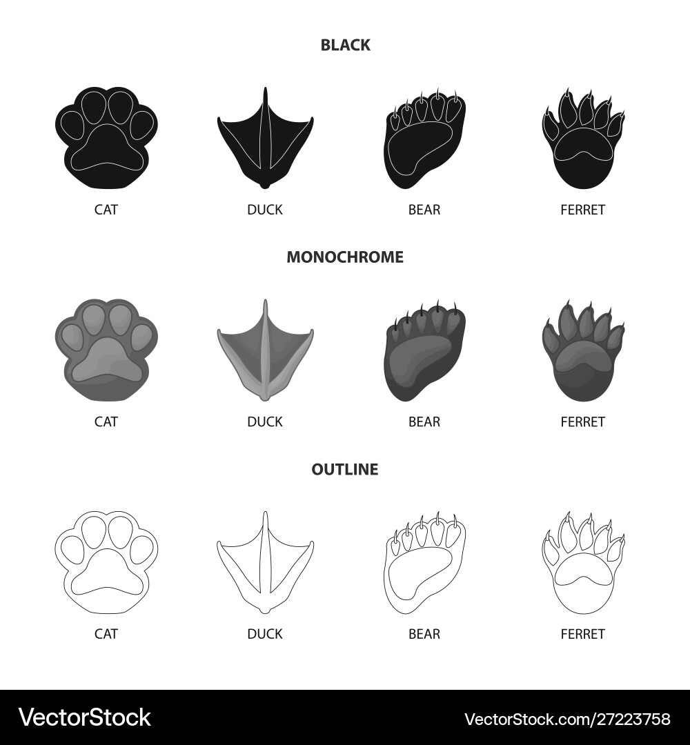Isolated object step and walk symbol Isolated object step and walk symbol Vector Image