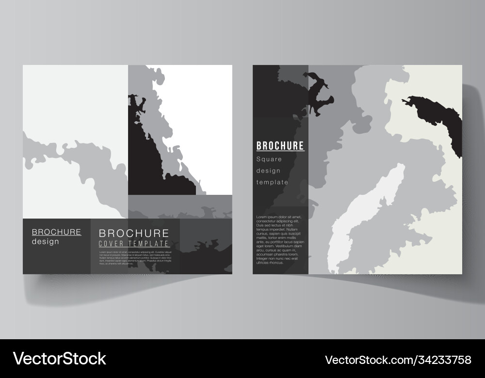 Layout two square format covers design Vector Image