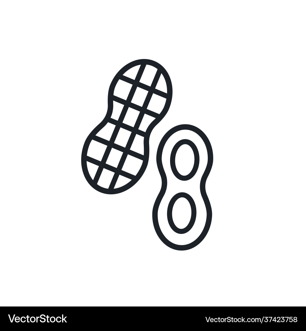 Peanuts icon linear contour shape Peanuts icon linear contour shape vector image