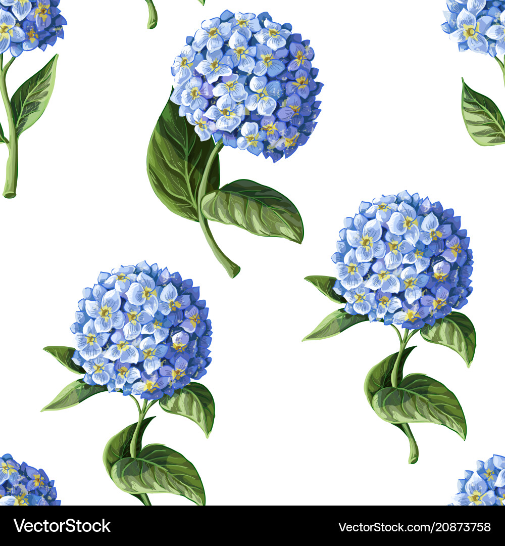 Seamless pattern with hortensia Seamless pattern with hortensia vector image