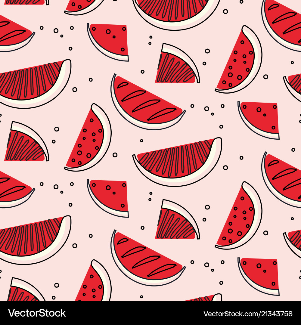 Watermelon summre fruit concept fern botanical Watermelon summre fruit concept fern botanical vector image