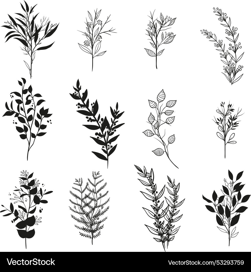 Leaf design elements eps file Vector Image