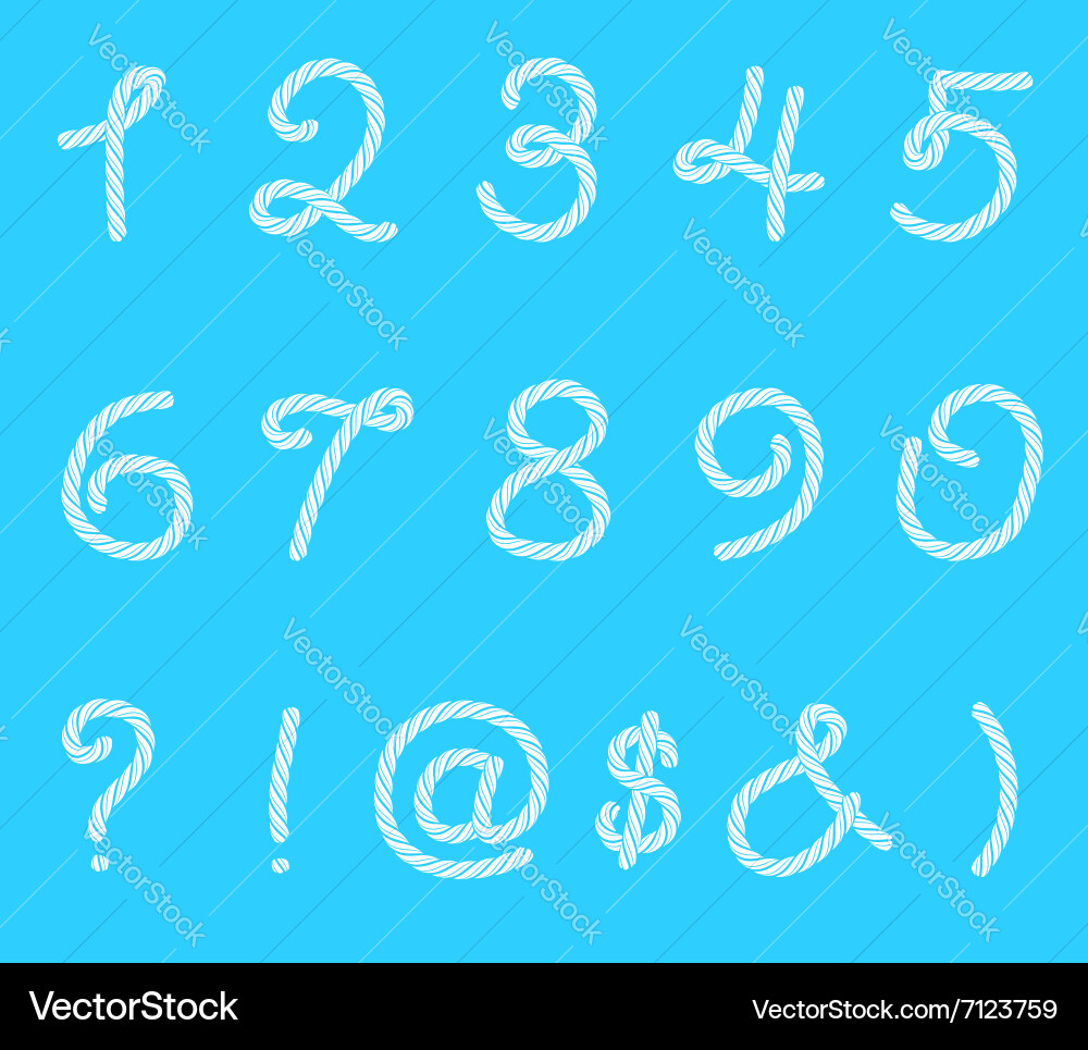 Set of rope font symbols and numbers vector image