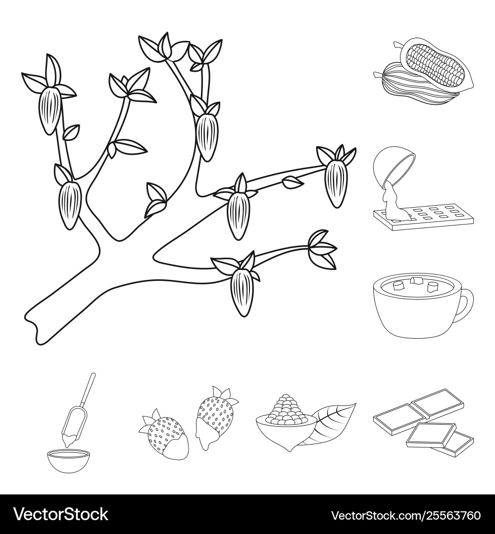 Design cocoa and beans icon collection Design cocoa and beans icon collection Vector Image