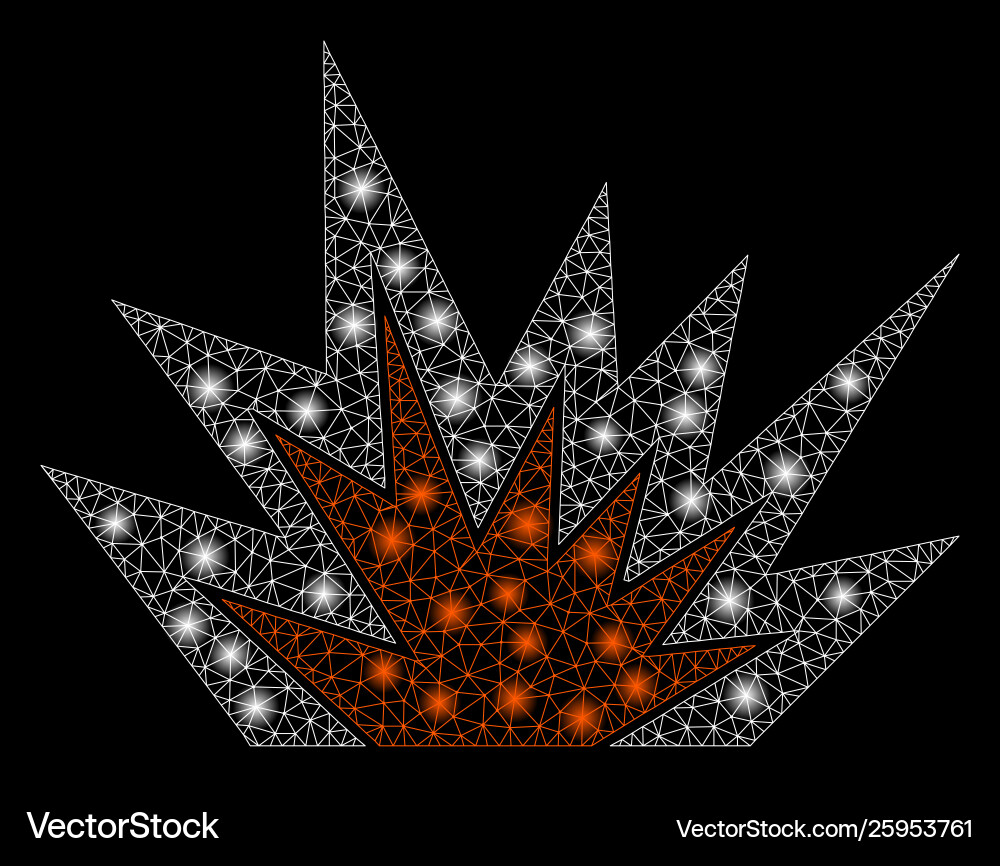 Glossy mesh network explosion boom with flash Glossy mesh network explosion boom with flash vector image
