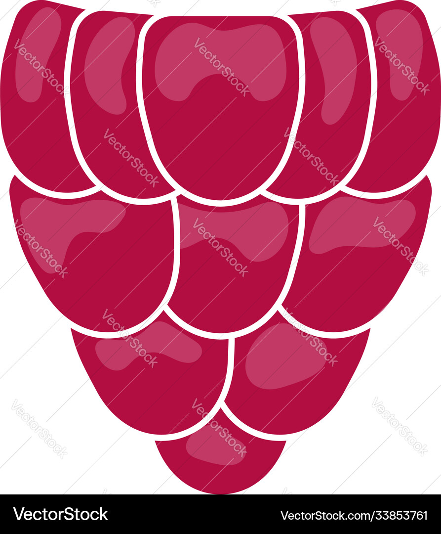 Icon raspberry in ui colors Icon raspberry in ui colors vector image