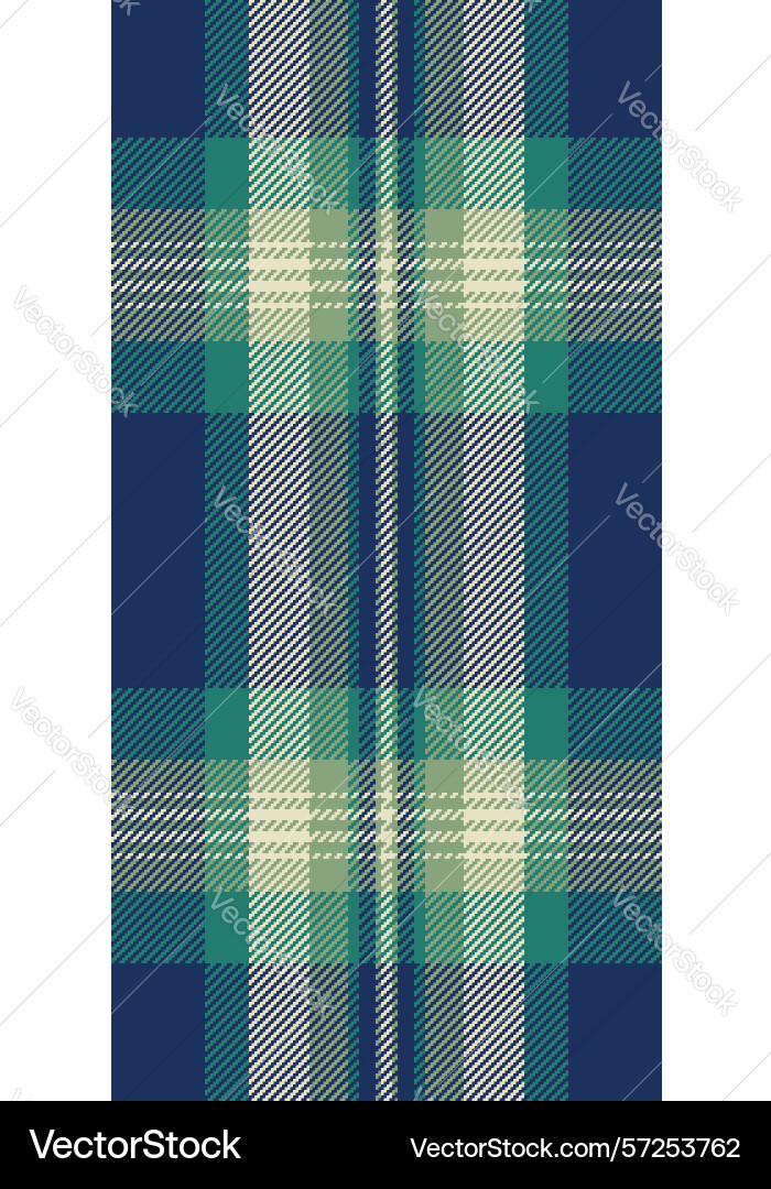 Display check tartan home pattern fabric texture vector image