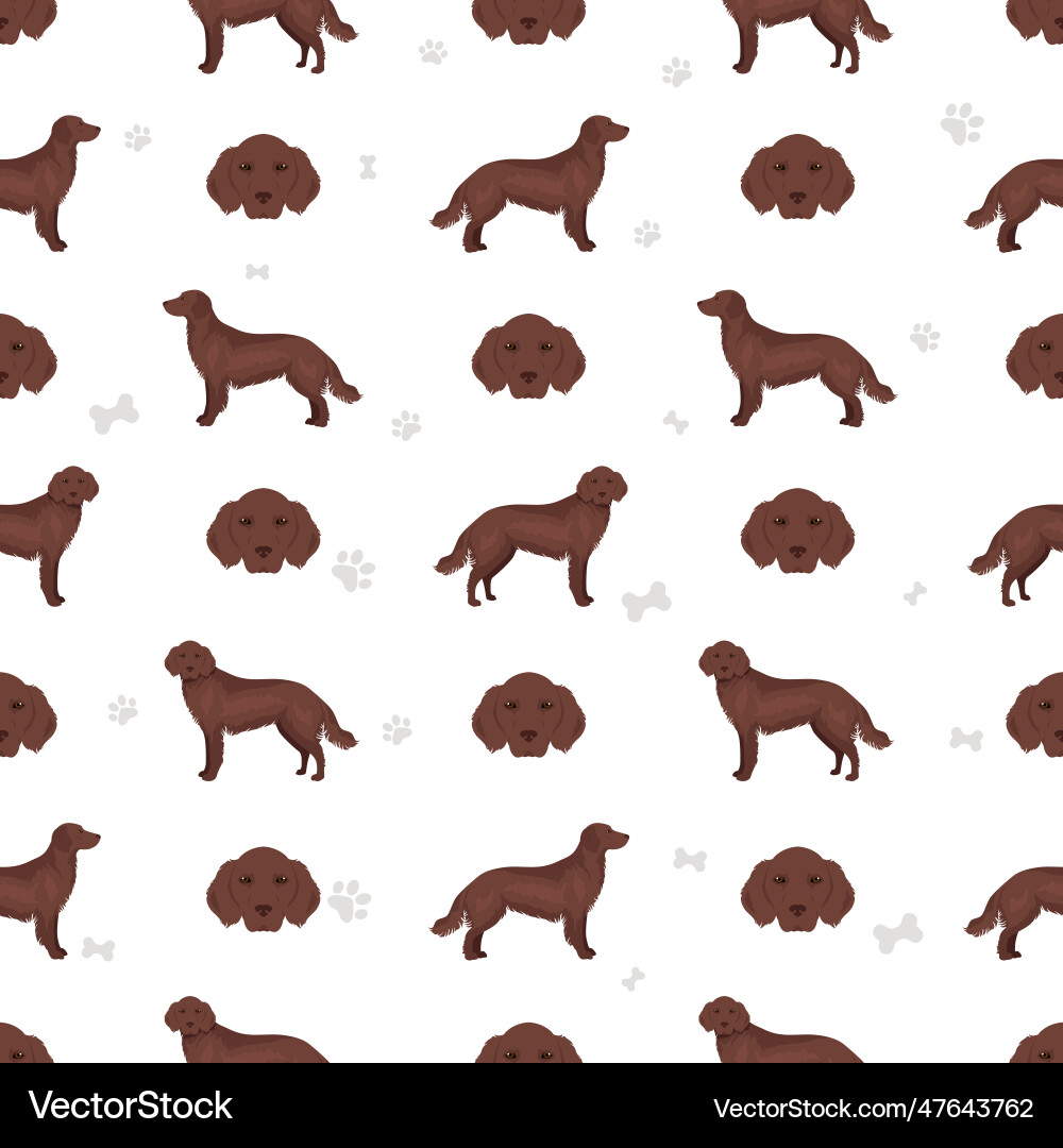 Flat coated retriever seamless pattern different Flat coated retriever seamless pattern different Vector Image