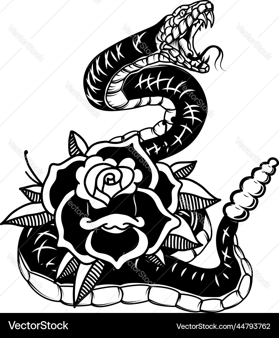 Snake on the background with roses design element Snake on the background with roses design element vector image