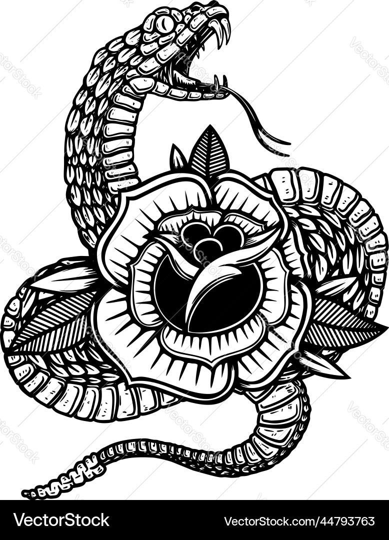 Snake on the background with roses design element Snake on the background with roses design element vector image