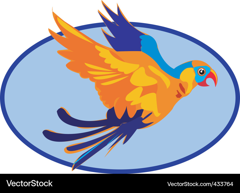 Bird Vector Image
