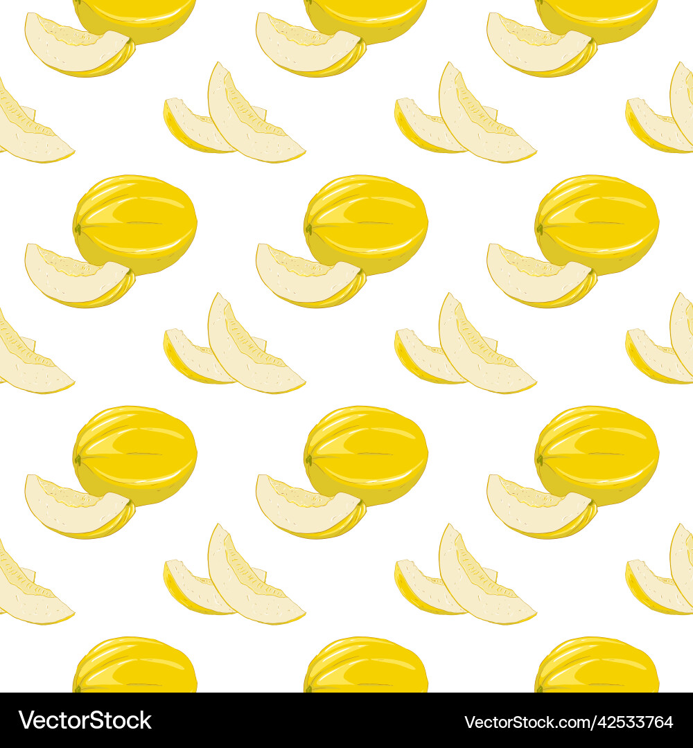 Pattern with the image of a whole melon and pieces Vector Image
