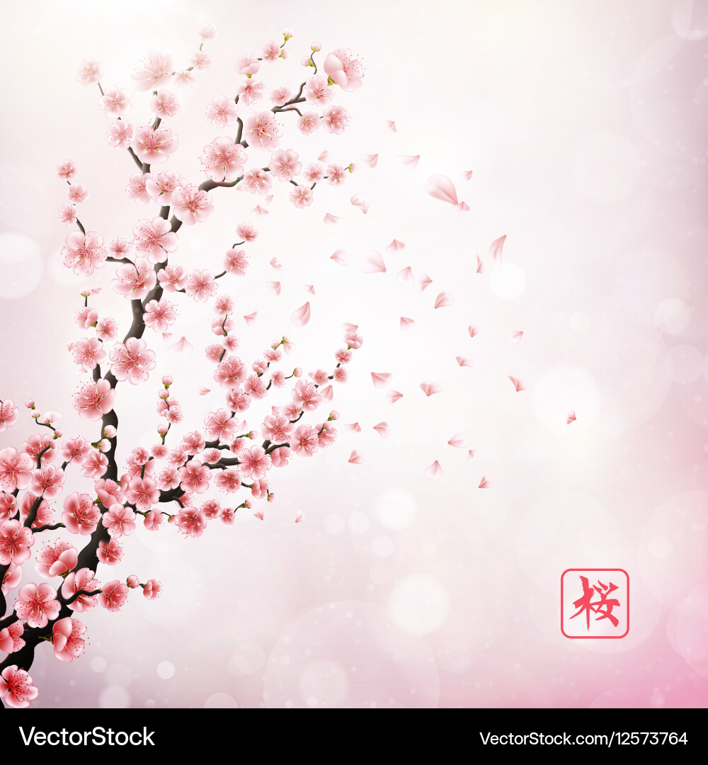 Realistic Cherry Branch with Sakura Flowers Vector Image