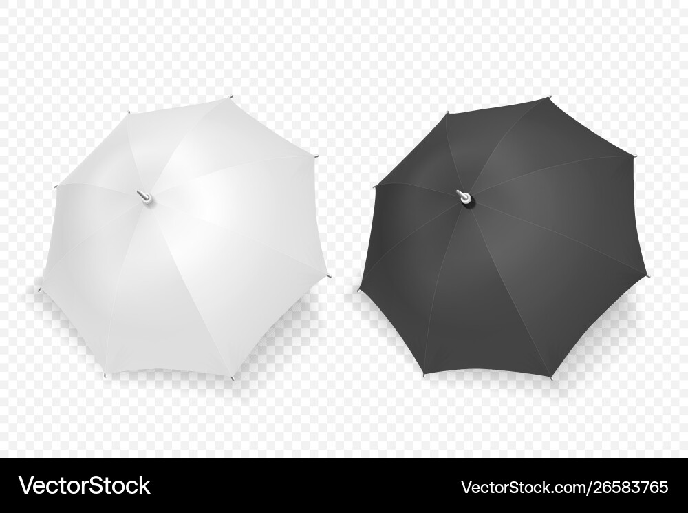3d realistic render white and black blank Vector Image