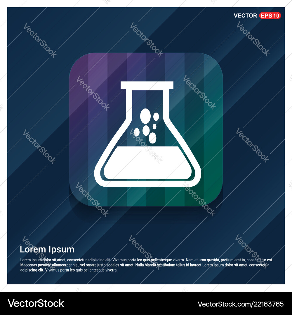 Flask icon Flask icon vector image
