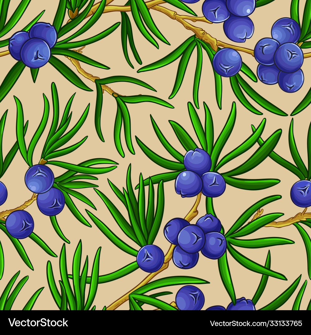 Garcinia branches pattern on color Garcinia branches pattern on color vector image