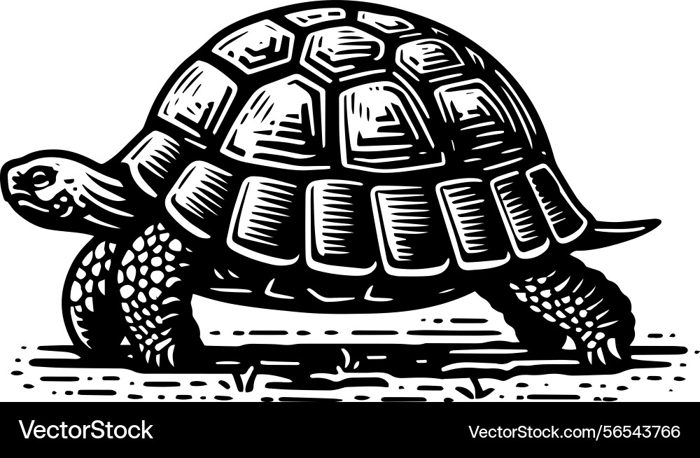 Simple gopher tortoise walking side view icon Simple gopher tortoise walking side view icon vector image