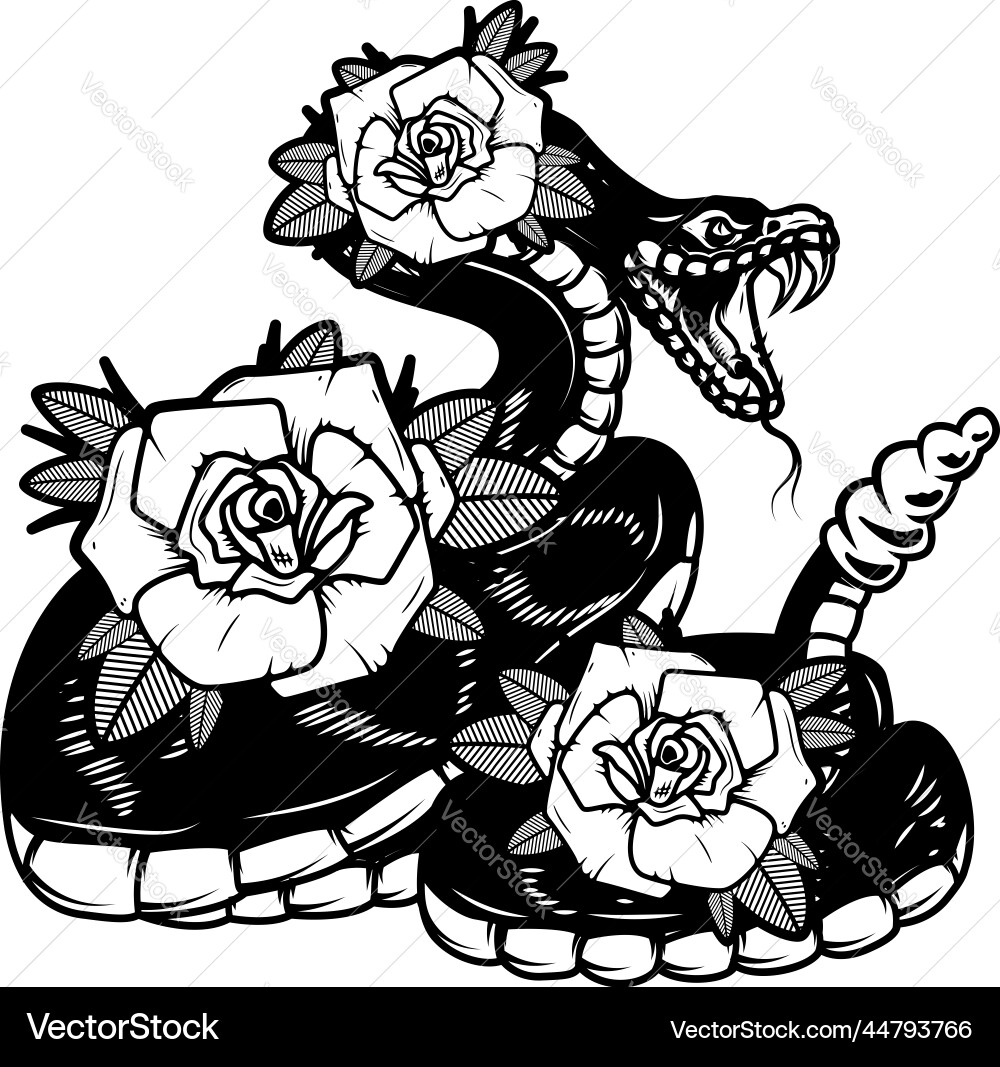 Snake on the background with roses design element vector image