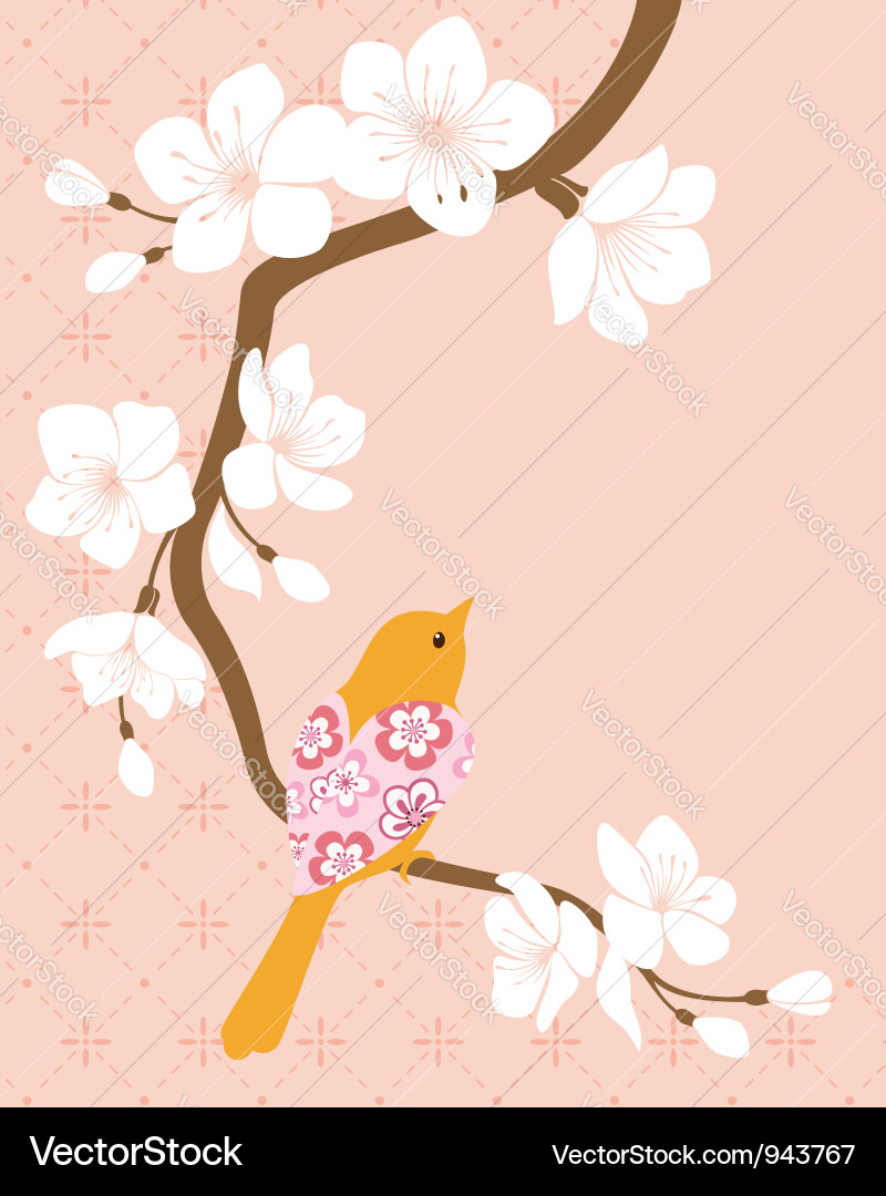 Cherry Blossom Branch with Bird vector image