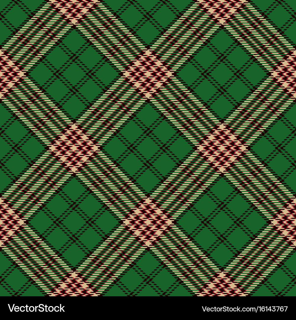 Classic Tartan Pattern vector image
