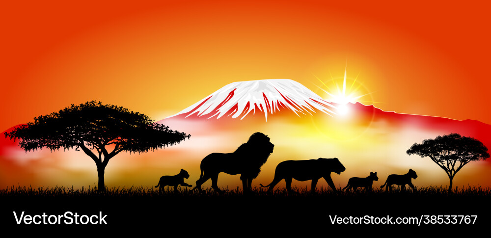 Lion lioness and cubs Lion lioness and cubs vector image